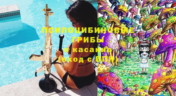 стаф Вязьма